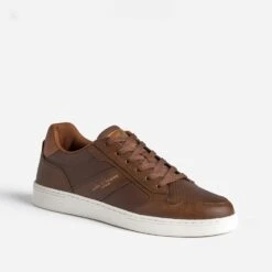 Tennis LEE COOPER Cognac -Caprices Chaussures Boutique WWWERM 10271390666 1