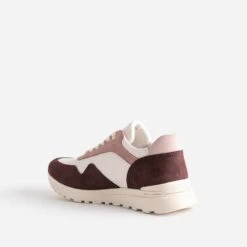 Tennis TEXTO Bordeaux, écru Et Rose -Caprices Chaussures Boutique WWWERM 10384320224 3